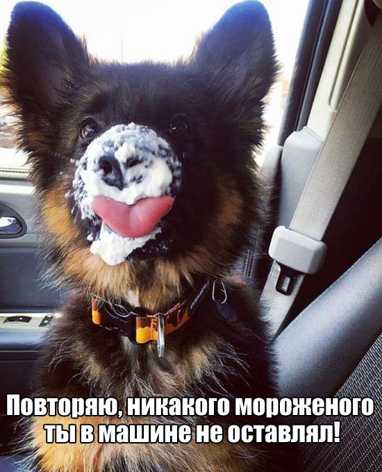 proxy.php?image=http%3A%2F%2Fs00.yaplakal.com%2Fpics%2Fpics_original%2F8%2F8%2F6%2F12370688.jpg&hash=15eef37df18bbd65872bdab51670e0e8 | Рено Каптур клуб Россия | www.KAPTUR.club