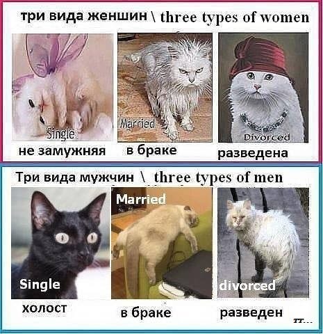 proxy.php?image=http%3A%2F%2Fs00.yaplakal.com%2Fpics%2Fpics_original%2F1%2F5%2F0%2F12228051.jpg&hash=1654f2d03afc0fa2abdee198907fc752 | Рено Каптур клуб Россия | www.KAPTUR.club