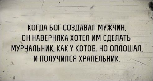 proxy.php?image=http%3A%2F%2Fwww.prikol.ru%2Fwp-content%2Fgallery%2Fjuly-2017%2Fkartinki-11072017-004.jpg&hash=187ecd5ac122b209ebdeaa0486310421 | Рено Каптур клуб Россия | www.KAPTUR.club