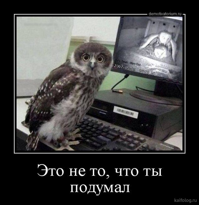 proxy.php?image=http%3A%2F%2Fkaifolog.ru%2Fuploads%2Fposts%2F2018-04%2F1524572835_054.jpg&hash=18bc6671e57a23d41238f163b72c017e | Рено Каптур клуб Россия | www.KAPTUR.club
