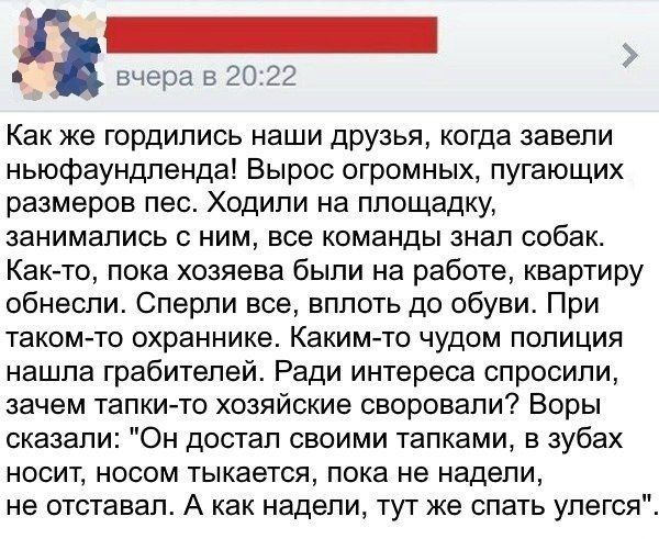 proxy.php?image=http%3A%2F%2Fcdn.fishki.net%2Fupload%2Fpost%2F2017%2F05%2F13%2F2289679%2F2-nz1.jpg&hash=193b336132ca0f704df6bdfb2ea9c1bd | Рено Каптур клуб Россия | www.KAPTUR.club