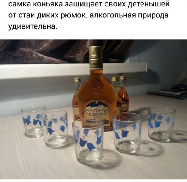 proxy.php?image=http%3A%2F%2Fs00.yaplakal.com%2Fpics%2Fpics_preview%2F2%2F3%2F1%2F13378132.jpg&hash=19fd5a3df9d68c3d737e80e7a7470576 | Рено Каптур клуб Россия | www.KAPTUR.club