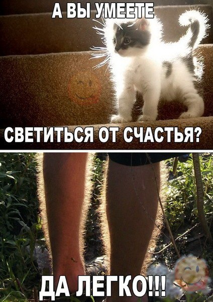 proxy.php?image=http%3A%2F%2Fdobrosos.ru%2Fwp-content%2Fuploads%2F2019%2F04%2Fsmeshnye-nadpisi-prikoly-nadpisyami-foto-109.jpg&hash=1bc05a1c8d114a94a9a947ec899a7ef2 | Рено Каптур клуб Россия | www.KAPTUR.club