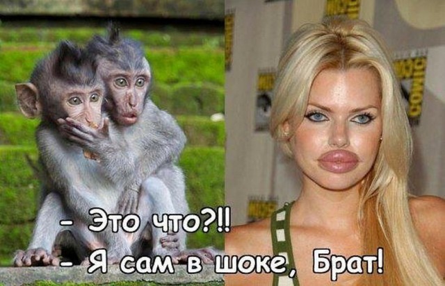 proxy.php?image=http%3A%2F%2Fs00.yaplakal.com%2Fpics%2Fpics_preview%2F0%2F4%2F0%2F12243040.jpg&hash=1c56aada5015e329a202df6881ffc16a | Рено Каптур клуб Россия | www.KAPTUR.club