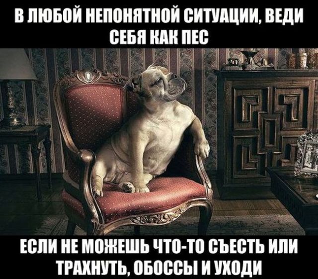 proxy.php?image=http%3A%2F%2Fs00.yaplakal.com%2Fpics%2Fpics_original%2F5%2F7%2F2%2F11304275.jpg&hash=1cc6f83ec019170179ef862a072907f3 | Рено Каптур клуб Россия | www.KAPTUR.club