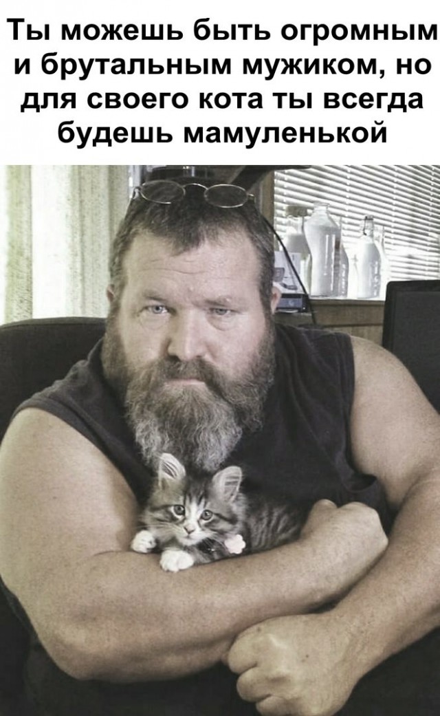 proxy.php?image=http%3A%2F%2Fs00.yaplakal.com%2Fpics%2Fpics_preview%2F7%2F8%2F4%2F12710487.jpg&hash=1e383fdf19146619c65f8ed41bbe5e9a | Рено Каптур клуб Россия | www.KAPTUR.club