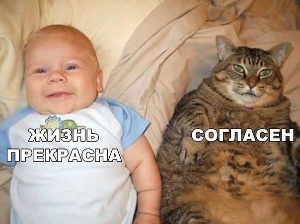 proxy.php?image=https%3A%2F%2Fsun9-17.userapi.com%2FCCbHLVnhfK4qQlLxXZ9aUwT5axs2Ez4ju1IyYg%2FKvLJkRXA4DE.jpg&hash=21d65727c1df1127b23210c868a0b47f | Рено Каптур клуб Россия | www.KAPTUR.club