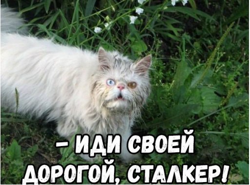 proxy.php?image=https%3A%2F%2Fpp.userapi.com%2Fc834200%2Fv834200569%2F90b09%2FRy0Nxf3OcdQ.jpg&hash=22e0ca35153c867dceb1c46e8d4e62cf | Рено Каптур клуб Россия | www.KAPTUR.club