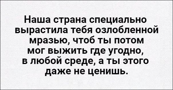 proxy.php?image=http%3A%2F%2Fwww.prikol.ru%2Fwp-content%2Fuploads%2F2016%2F11%2Fatkritka-12112016-002.jpg&hash=22e231d853090e2d4d3eef90ac35fa16 | Рено Каптур клуб Россия | www.KAPTUR.club