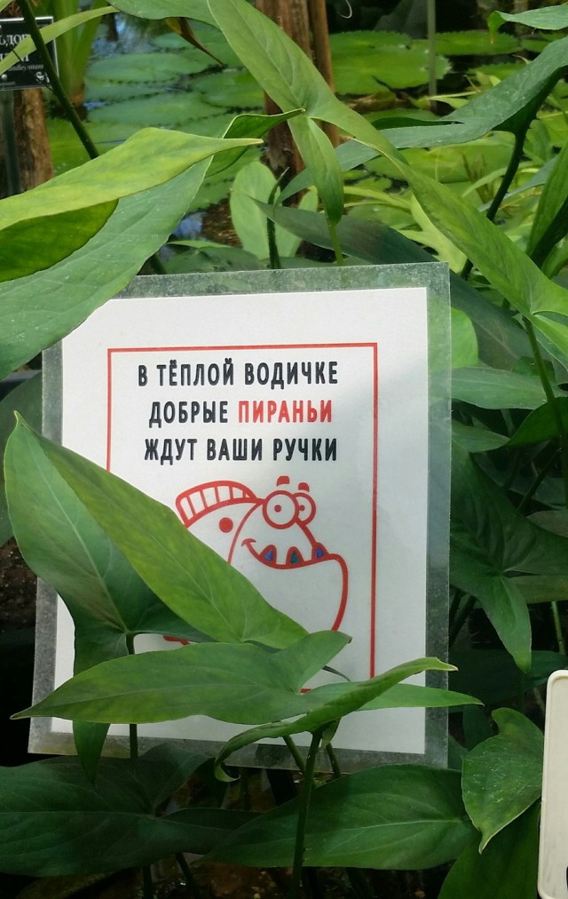 proxy.php?image=http%3A%2F%2Fs00.yaplakal.com%2Fpics%2Fpics_preview%2F3%2F9%2F4%2F11465493.jpg&hash=23019dd3187f859e2c8baa8c026e840d | Рено Каптур клуб Россия | www.KAPTUR.club