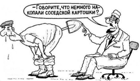 proxy.php?image=https%3A%2F%2Fnemabazara.ru%2Fwp-content%2Fuploads%2F2017%2F12%2F-%D1%88%D1%83%D1%82%D0%BA%D0%B8-%D0%BD-e1531306752676.jpg&hash=23068796929e54345e06e642cba5b911 | Рено Каптур клуб Россия | www.KAPTUR.club