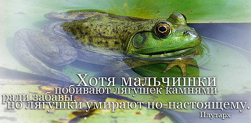 proxy.php?image=http%3A%2F%2Fdobrosos.ru%2Fimage%2Faforizm%2Faforizm010.jpg&hash=252e443a03e8eed336bfd7d0175d99b3 | Рено Каптур клуб Россия | www.KAPTUR.club