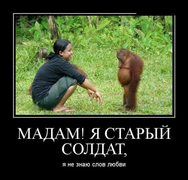 proxy.php?image=http%3A%2F%2Fs00.yaplakal.com%2Fpics%2Fpics_preview%2F1%2F0%2F4%2F10329401.jpg&hash=2549fc76a980e7b98a3bf8d9ecf9595b | Рено Каптур клуб Россия | www.KAPTUR.club