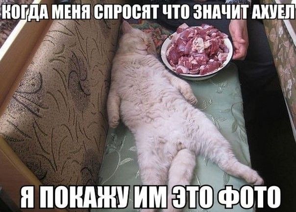 proxy.php?image=https%3A%2F%2Fyaustal.com%2Fuploads%2Fposts%2F2020-10%2F1602092368_14757713.jpg&hash=255475367a4ca7af4318a8ffb6f3fb59 | Рено Каптур клуб Россия | www.KAPTUR.club