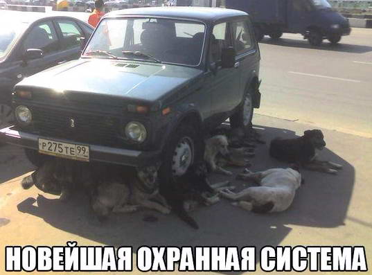 proxy.php?image=http%3A%2F%2Fdobrosos.ru%2Fwp-content%2Fuploads%2F2015%2F10%2Ffoto-ato-prikolyi-21-dobrosos.jpg&hash=25ddb74f5becc338b64309129fe0dd58 | Рено Каптур клуб Россия | www.KAPTUR.club