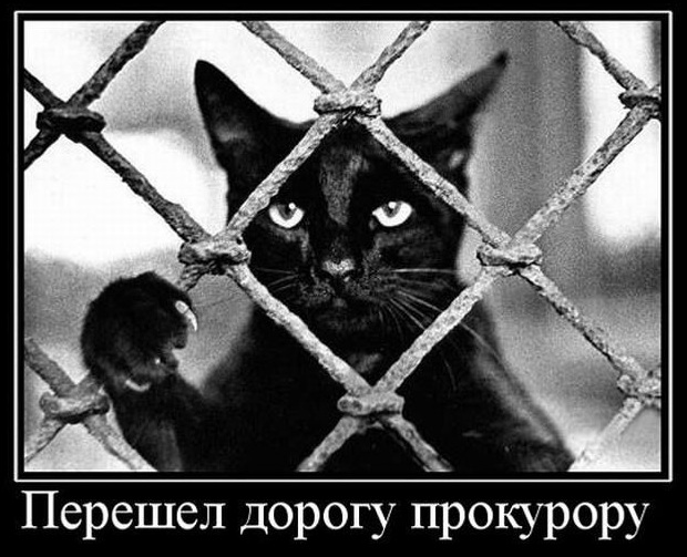 proxy.php?image=http%3A%2F%2Fs00.yaplakal.com%2Fpics%2Fpics_original%2F7%2F9%2F5%2F12378597.jpg&hash=26b307764060b474692bea7375682a5f | Рено Каптур клуб Россия | www.KAPTUR.club