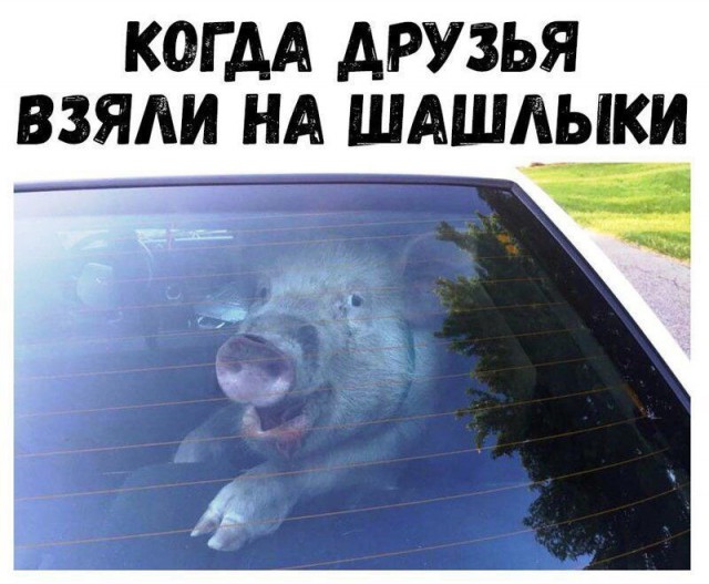 proxy.php?image=http%3A%2F%2Fs00.yaplakal.com%2Fpics%2Fpics_preview%2F8%2F5%2F7%2F12917758.jpg&hash=27ccc7aad50f7dec5846ed43602a18b6 | Рено Каптур клуб Россия | www.KAPTUR.club