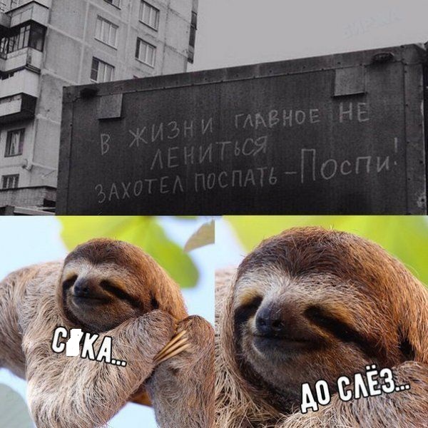 proxy.php?image=http%3A%2F%2Fs00.yaplakal.com%2Fpics%2Fpics_original%2F1%2F3%2F3%2F11413331.jpg&hash=29b501b493412ac6eac7eeae41782023 | Рено Каптур клуб Россия | www.KAPTUR.club