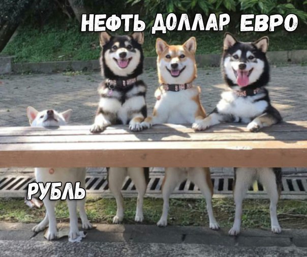 proxy.php?image=https%3A%2F%2Fpp.userapi.com%2Fc543103%2Fv543103028%2F55a71%2FGdtyeqNxbt4.jpg&hash=2a5affad185d9916949dcc0996d9dc53 | Рено Каптур клуб Россия | www.KAPTUR.club