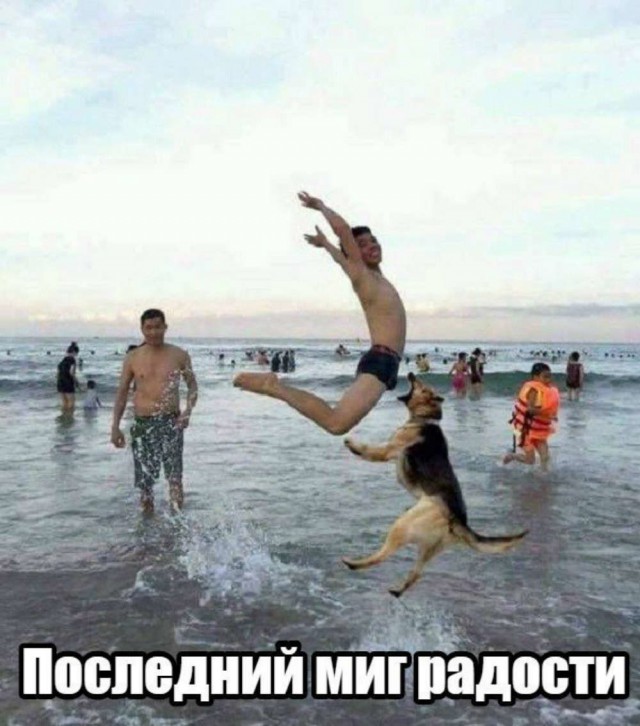 proxy.php?image=http%3A%2F%2Fs00.yaplakal.com%2Fpics%2Fpics_preview%2F6%2F9%2F6%2F11438696.jpg&hash=2e6fb8fde3356e246e1a6616aca06880 | Рено Каптур клуб Россия | www.KAPTUR.club