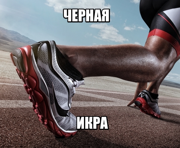 proxy.php?image=http%3A%2F%2Fs00.yaplakal.com%2Fpics%2Fpics_original%2F2%2F9%2F6%2F11467692.jpg&hash=302790884182bb1272c3a6a3cdf54045 | Рено Каптур клуб Россия | www.KAPTUR.club