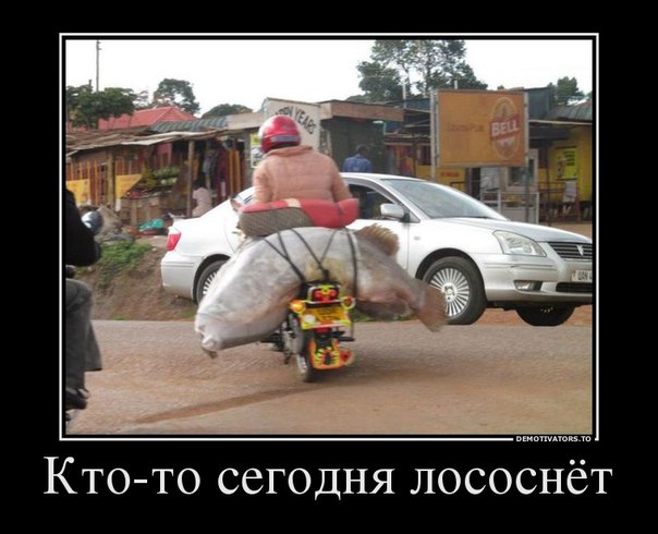 proxy.php?image=https%3A%2F%2Fxn--b1agaykvq.xn--p1ai%2Fphotopricoly%2F1%2Fs3763_1549284220.jpg&hash=3067c0a504cd15b76af7cf26cce44236 | Рено Каптур клуб Россия | www.KAPTUR.club