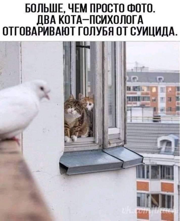 proxy.php?image=https%3A%2F%2Fpp.userapi.com%2Fc849232%2Fv849232924%2F119eb1%2FXvAD-wC5Kas.jpg&hash=308bfb072be557fc3249b8838e82b27e | Рено Каптур клуб Россия | www.KAPTUR.club