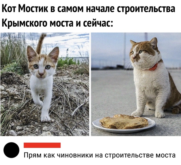 proxy.php?image=http%3A%2F%2Fs00.yaplakal.com%2Fpics%2Fpics_original%2F9%2F6%2F3%2F13282369.jpg&hash=32b8e20b1956a46b980673d3db258262 | Рено Каптур клуб Россия | www.KAPTUR.club