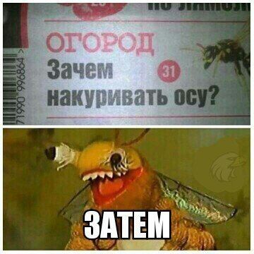 proxy.php?image=https%3A%2F%2Fpp.userapi.com%2Fc849036%2Fv849036162%2F4e3b4%2FZ824bWNK87Y.jpg&hash=32d85294696d9964023084d006fc3cf8 | Рено Каптур клуб Россия | www.KAPTUR.club