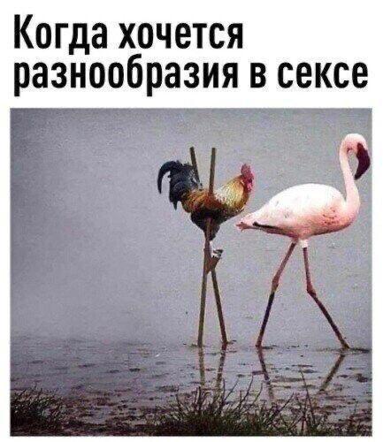 proxy.php?image=https%3A%2F%2Fi.ibb.co%2Fz5kkRLV%2FIMG-20230329-WA0058.jpg&hash=345bb5a48b4c9de4a5111093b6daaca8 | Рено Каптур клуб Россия | www.KAPTUR.club