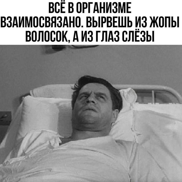 proxy.php?image=https%3A%2F%2Fi.ibb.co%2FZNTJnWF%2FIMG-20240812-WA0027.jpg&hash=37863cbd5622cb251edb6387e77d8246 | Рено Каптур клуб Россия | www.KAPTUR.club