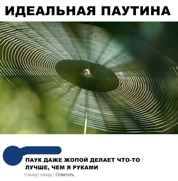 proxy.php?image=https%3A%2F%2Fsun1-11.userapi.com%2Fc543107%2Fv543107238%2F6499b%2F61UDB5m1UNE.jpg&hash=381162be497c9fa969acdf5d2822b975 | Рено Каптур клуб Россия | www.KAPTUR.club