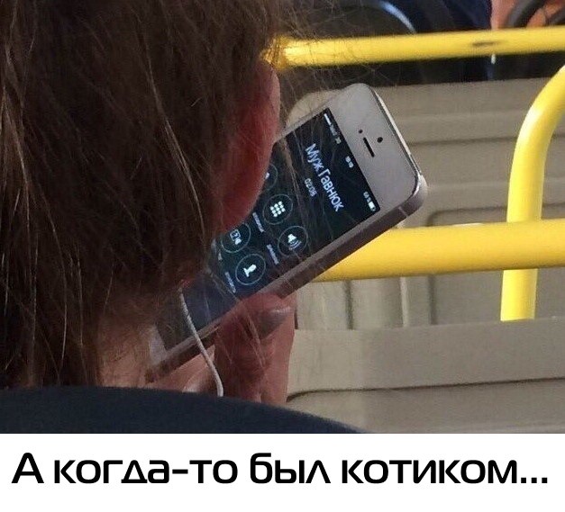 proxy.php?image=http%3A%2F%2Fdobrosos.ru%2Fwp-content%2Fuploads%2F2019%2F11%2Finteresnye-foto-prikoly-35.jpg&hash=38c1e200b3be0ec7a5cf56eacc8c169a | Рено Каптур клуб Россия | www.KAPTUR.club