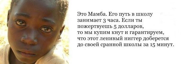 proxy.php?image=https%3A%2F%2Fyaustal.com%2Fuploads%2Fposts%2F2020-10%2F1602173428_14758927.jpg&hash=3a5cdf34b1e66a38220923c6e6c7c66c | Рено Каптур клуб Россия | www.KAPTUR.club