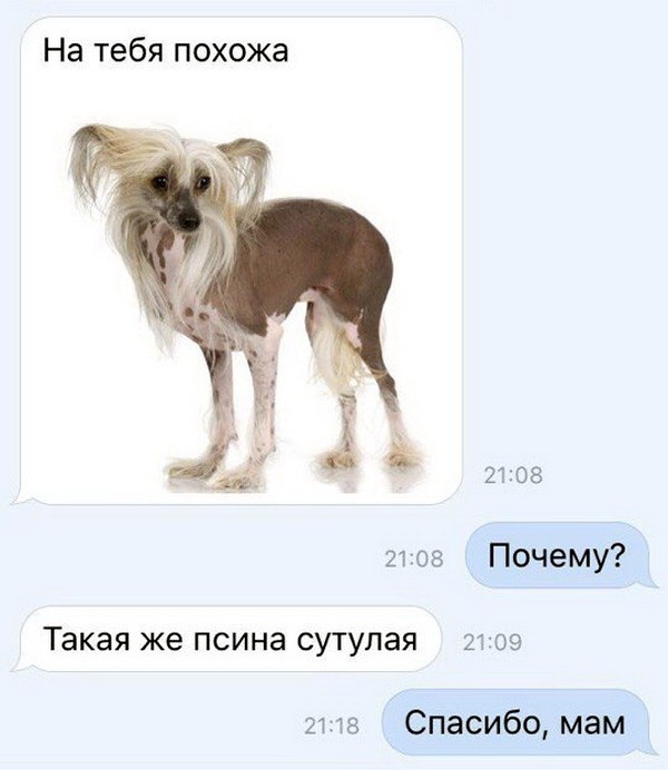 proxy.php?image=http%3A%2F%2Fdobrosos.ru%2Fwp-content%2Fuploads%2F2018%2F04%2Ffoto-prikolyi-04.jpg&hash=3a94a871fbc12aa015d513ce06686973 | Рено Каптур клуб Россия | www.KAPTUR.club