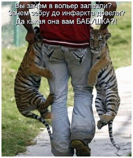 proxy.php?image=https%3A%2F%2Fs22.postimg.cc%2Ftlub586o1%2Fimage.jpg&hash=3abb443fcb0b0659a069172bbcbf0ef6 | Рено Каптур клуб Россия | www.KAPTUR.club