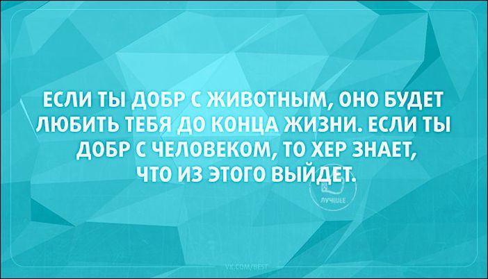 proxy.php?image=http%3A%2F%2Fwww.prikol.ru%2Fwp-content%2Fgallery%2Fapril-2016%2Fatkritka-09042016-033.jpg&hash=3b0ab4bfd8bee23aecb9fb4dfa11a5d0 | Рено Каптур клуб Россия | www.KAPTUR.club