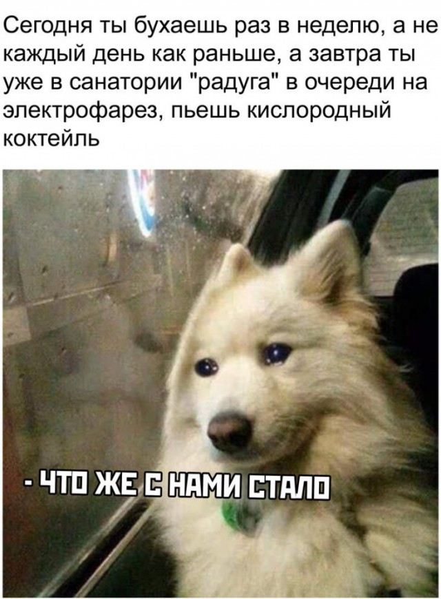 proxy.php?image=http%3A%2F%2Fs00.yaplakal.com%2Fpics%2Fpics_preview%2F2%2F9%2F3%2F12915392.jpg&hash=3ce6c2111a302955546364b3c19393c9 | Рено Каптур клуб Россия | www.KAPTUR.club