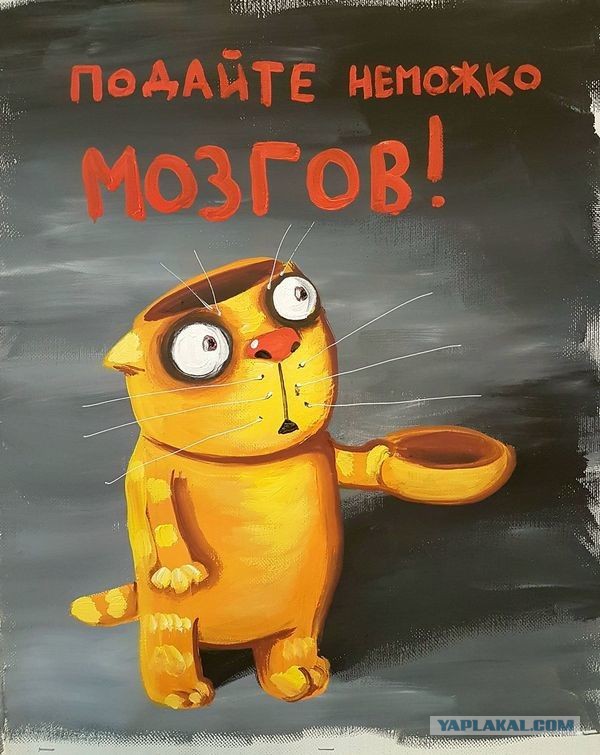 proxy.php?image=http%3A%2F%2Fs00.yaplakal.com%2Fpics%2Fpics_original%2F9%2F5%2F6%2F12218659.jpg&hash=3de49e93f876cfbcca65e6b80a250834 | Рено Каптур клуб Россия | www.KAPTUR.club