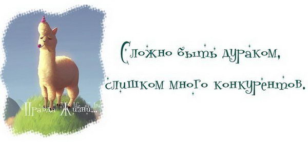 proxy.php?image=http%3A%2F%2Fwww.hotinfo.ru%2Fuploads%2Fposts%2F2017-08%2F1502211553_071.jpg&hash=4061c88ae63c08d9e7fb57aebef94b1f | Рено Каптур клуб Россия | www.KAPTUR.club