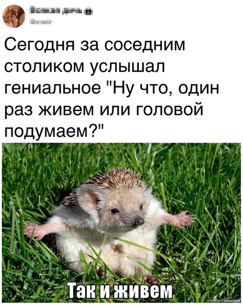 proxy.php?image=https%3A%2F%2Fsun1-19.userapi.com%2Fc848524%2Fv848524785%2F1721b0%2FHvoWNMBsNHw.jpg&hash=40dec42488a9c61863fde7e2f3a68ad4 | Рено Каптур клуб Россия | www.KAPTUR.club