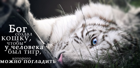 proxy.php?image=http%3A%2F%2Fdobrosos.ru%2Fimage%2Faforizm%2Faforizm040.jpg&hash=41675f5b61c14dbb9fea113217b776c7 | Рено Каптур клуб Россия | www.KAPTUR.club