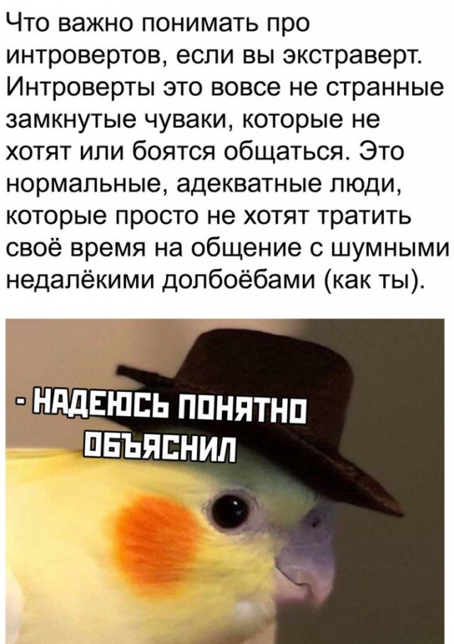 proxy.php?image=http%3A%2F%2Fs00.yaplakal.com%2Fpics%2Fpics_preview%2F5%2F1%2F9%2F12914915.jpg&hash=4321132050fb99aa90d60c459c002e4b | Рено Каптур клуб Россия | www.KAPTUR.club