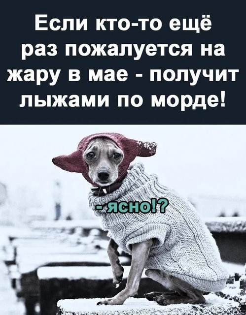 proxy.php?image=https%3A%2F%2Fi.ibb.co%2F0jPzB7y%2FIMG-20240515-WA0025.jpg&hash=4367080d3af5ce7f938bfeece1eeef27 | Рено Каптур клуб Россия | www.KAPTUR.club