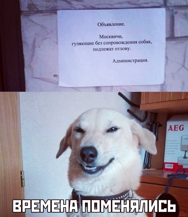 proxy.php?image=https%3A%2F%2Fsun1-30.userapi.com%2Fc854532%2Fv854532480%2F2236d0%2FdX_hKoZClF8.jpg&hash=452c46c420bf56efa25a17ce221908a3 | Рено Каптур клуб Россия | www.KAPTUR.club