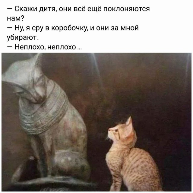 proxy.php?image=http%3A%2F%2Fs00.yaplakal.com%2Fpics%2Fpics_original%2F0%2F0%2F3%2F11453300.jpg&hash=45ce97ddb1552f1965a8acf238f58375 | Рено Каптур клуб Россия | www.KAPTUR.club