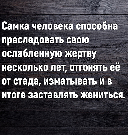 proxy.php?image=http%3A%2F%2Fs00.yaplakal.com%2Fpics%2Fpics_original%2F7%2F6%2F2%2F13412267.jpg&hash=4660352cb47f2e34a3039c1ee50e6bf3 | Рено Каптур клуб Россия | www.KAPTUR.club