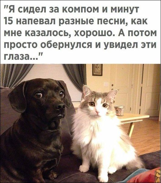 proxy.php?image=http%3A%2F%2Fwww.prikol.ru%2Fwp-content%2Fgallery%2Fseptember-2017%2Fkartinki-12092017-025.jpg&hash=46a2eea886198cfeab09434128c2f97f | Рено Каптур клуб Россия | www.KAPTUR.club