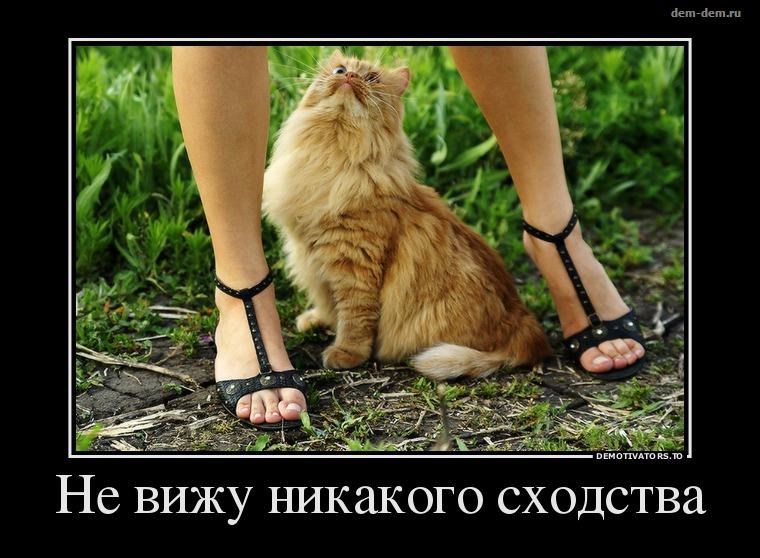 proxy.php?image=https%3A%2F%2Fauthor.today%2Fcontent%2F2018%2F03%2F11%2Ff09c4b3b5d43944dfa14ac787138b89cb.jpg&hash=47f8b8f829eefedd4042b4700ff8d6af | Рено Каптур клуб Россия | www.KAPTUR.club