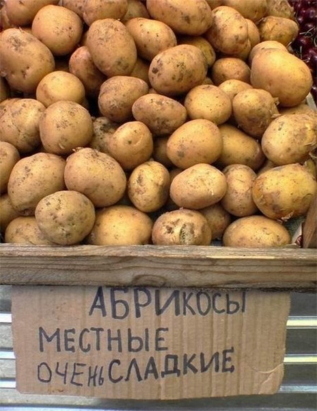 proxy.php?image=https%3A%2F%2Fxn--b1agaykvq.xn--p1ai%2Fphotopricoly%2F1%2Fs1810_1545251732.jpg&hash=482910e1166d7c8e7d4dd7e243de84c5 | Рено Каптур клуб Россия | www.KAPTUR.club